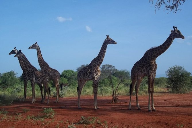 3 days Red elephant safari - Practical details before you go