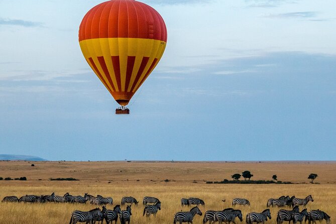 3 Days Safari Tour in Maasai Mara - Day 3: A final morning and the road back