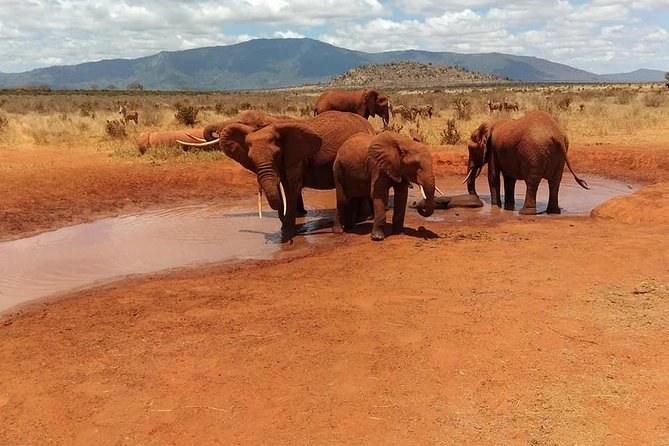 3 Days safari Tsavo East and Amboseli national park. - Day 1: Red soil and late light in Tsavo East