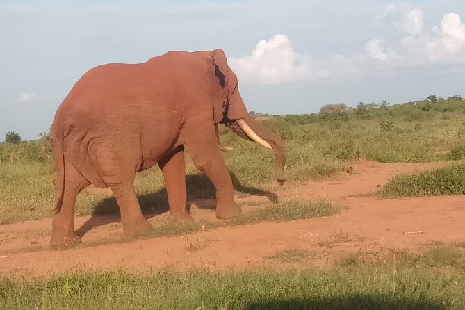 3 Days safari Tsavo East and Amboseli national park. - Day 2: the long road to Amboseli