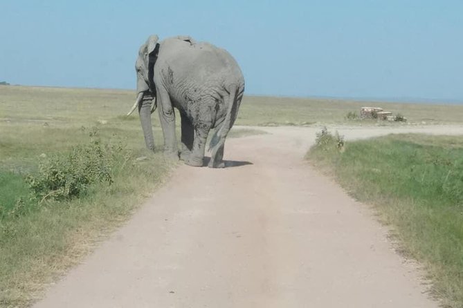 3 Days safari Tsavo East and Amboseli national park. - Tsavo East: a good first park, but not a full-day safari