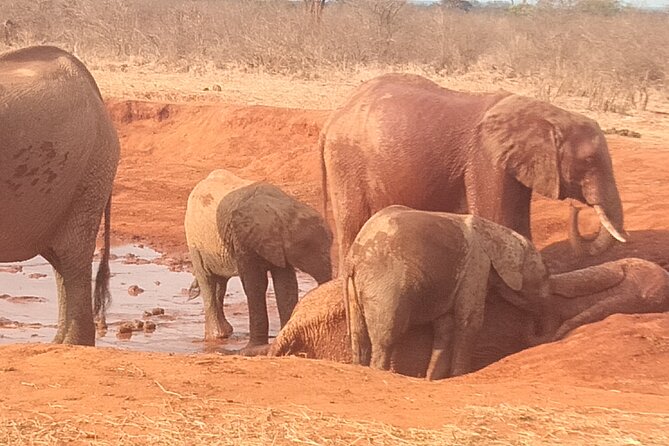 3 days safari Tsavo East and West - Day One: The Red-Earth Country of Tsavo East