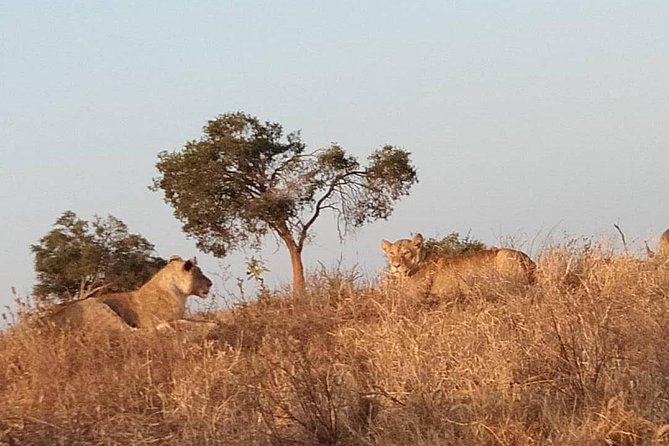 3 days safari Tsavo East and West - Is $850 Per Person Good Value?
