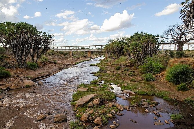 3 Days Tsavo East & Amboseli (2 Nights) - Private Transport and the Value of Personal Planning