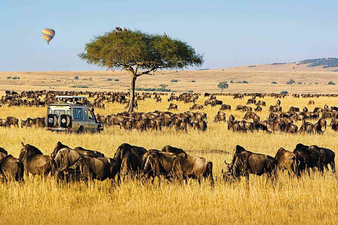 3 Days Unforgettable Masai Mara Safari Tour - Late-afternoon arrival at the Masai Mara