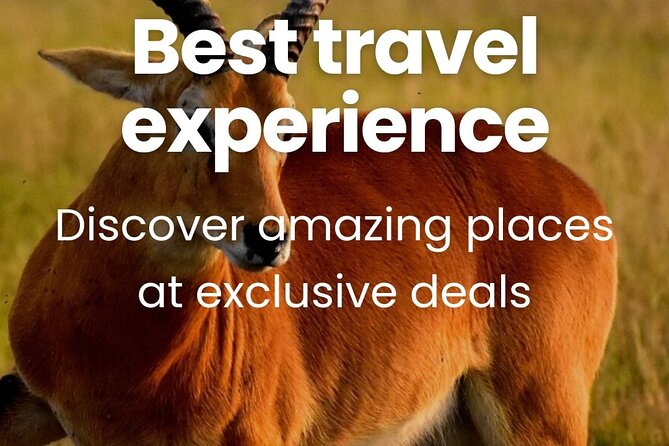 3 Days Unforgettable Masai Mara Safari Tour - Is $750 a fair price?