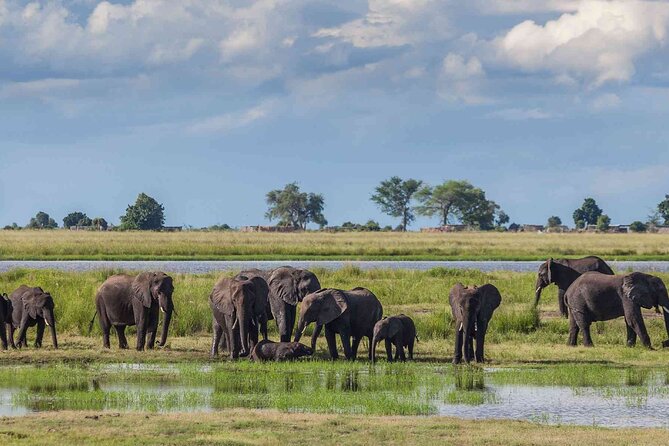 3 Days Unforgettable Masai Mara Safari Tour - The full 11-hour game-drive day