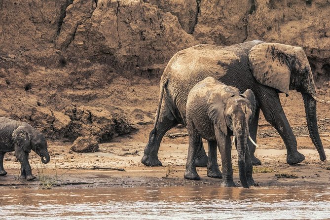3 nights exclusive Masai Mara safari - Day 2: Eight hours at migration crossing points