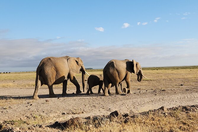 3day Amboseli Park Private safari - Day 3: Sunrise, breakfast, and the road back to Nairobi