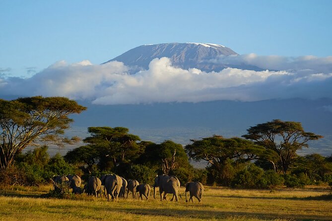 3day Amboseli Park Private safari - Accommodation, meals, and what the price covers
