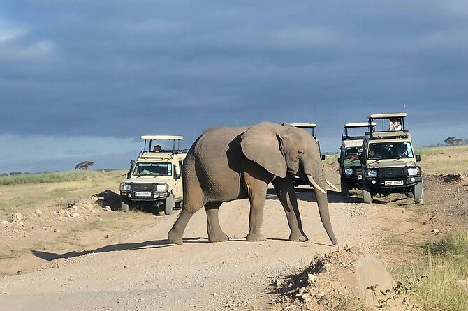 3day Amboseli Park Private safari - Photographing elephants and Kilimanjaro