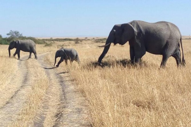 3days/2nights group joining Masai Mara with Masai Village Visit - Setting out from Nairobi