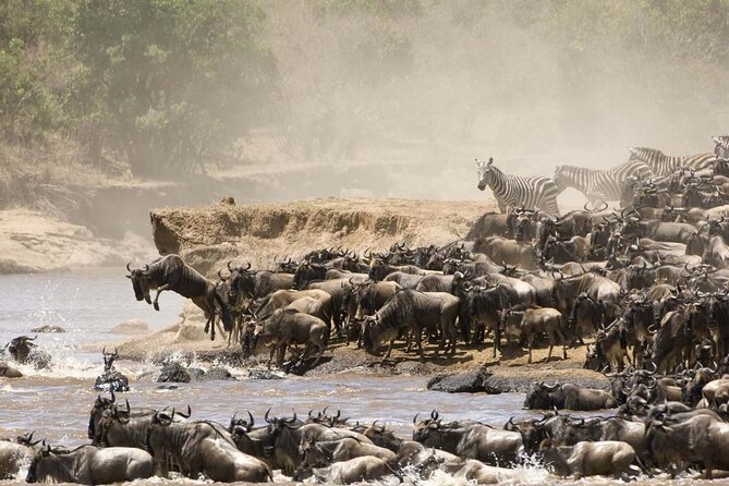 3days/2nights group joining Masai Mara with Masai Village Visit - Two nights at Rhino Tourist Camp