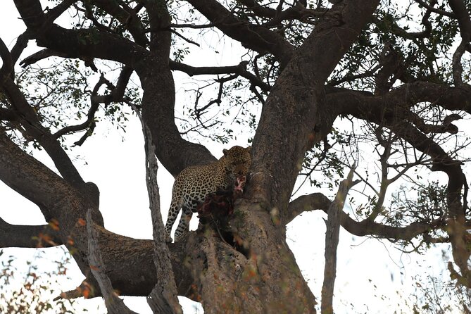 3days/2nights group joining Masai Mara with Masai Village Visit - The Maasai village visit on the last morning