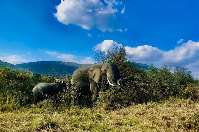 3days/2nights group joining Masai Mara with Masai Village Visit - What the $256 price really covers