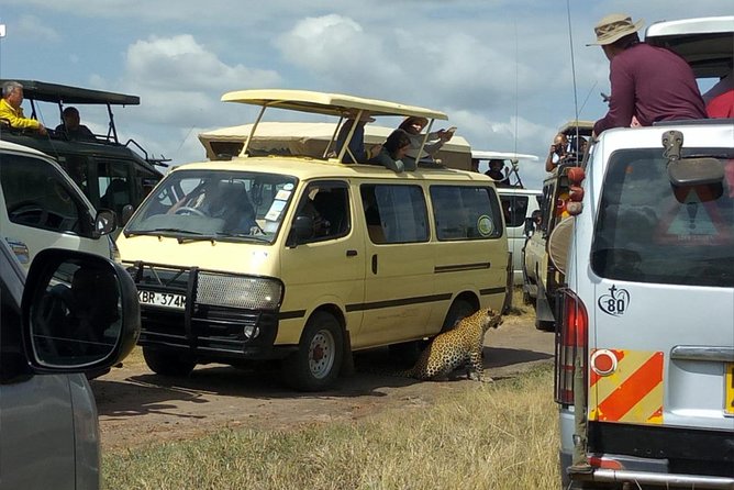 3days/2nights group joining Masai Mara with Masai Village Visit - Who will enjoy this safari most