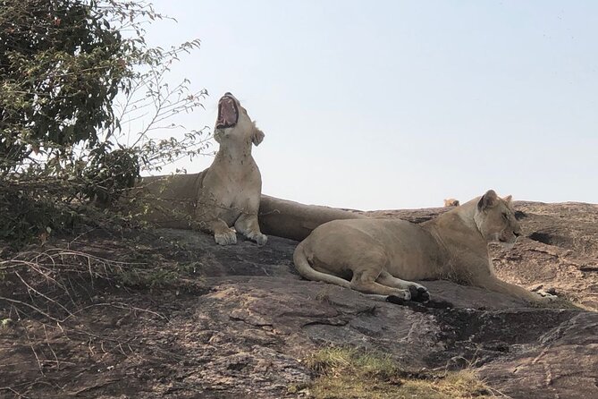 3days/2nights group joining Masai Mara with Masai Village Visit - The first evening in the Masai Mara