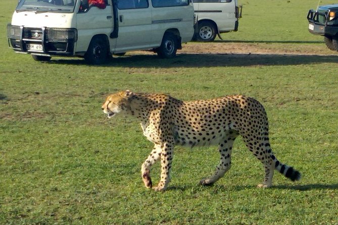 3Days 2nights Masai Mara group joining safari - Key points before you book