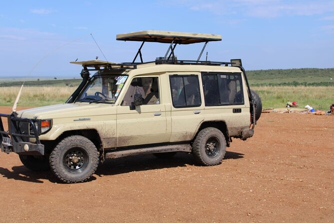 4 Day Group Tour to Maasai Mara and Lake Nakuru by a 4WD Cruiser - Balloon safari: a costly morning extra