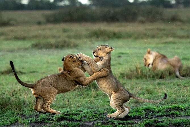 4 Day Group Tour to Maasai Mara and Lake Nakuru by a 4WD Cruiser - From Maasai Mara toward Lake Nakuru