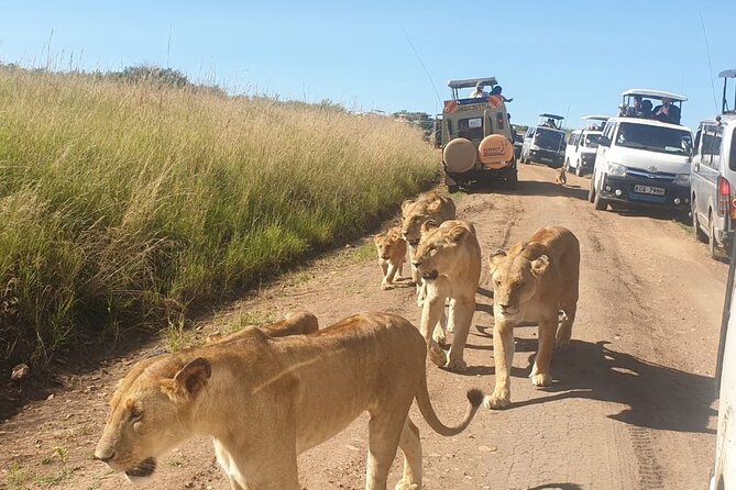4 Day Group Tour to Maasai Mara and Lake Nakuru by a 4WD Cruiser - Practical strengths and small compromises