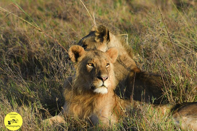 4-Day Masai Mara and Lake Nakuru safari from Nairobi. - What the $1,200 price really covers