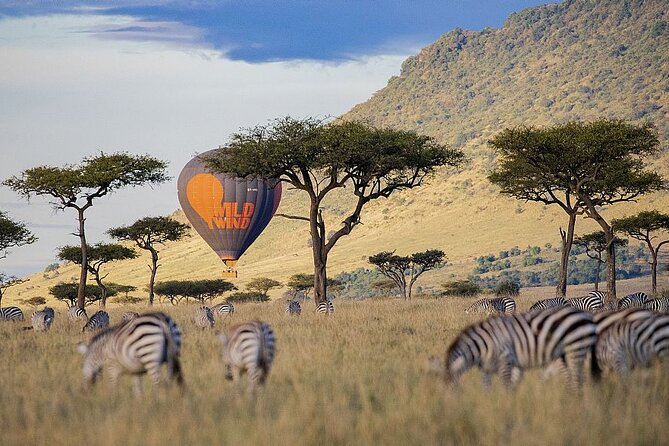 4-Day Masai Mara and Lake Nakuru Safari Tour from Nairobi - Why a private vehicle changes the safari
