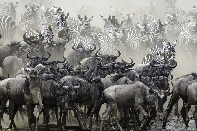 4-Day Masai Mara and Lake Nakuru Safari Tour from Nairobi - Day 3: The long road to Lake Nakuru