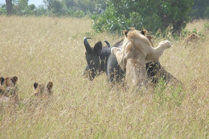4-Day Masai Mara Big Five Safari - Day 4: The road back to Nairobi