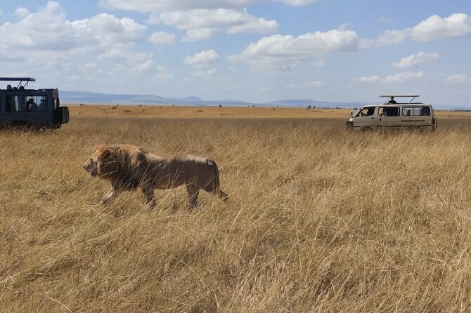 4-Day Masai Mara, L Naivasha and L Nakuru Safari - Day one, from Nairobi to the Mara plains