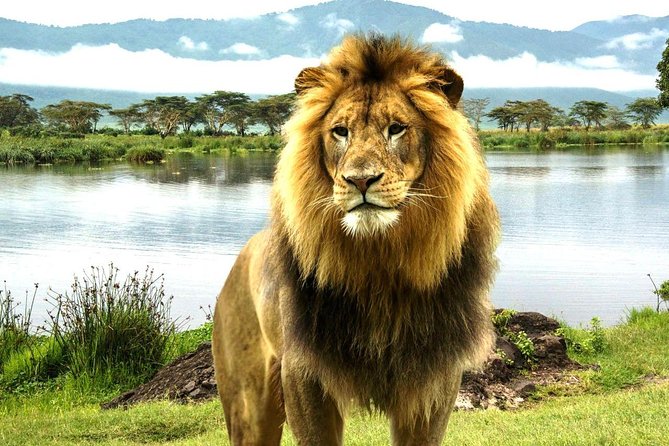 4 Day Masai Mara & Lake Nakuru Group Joining Camping Safari - Daily Departures - Why this four-day route works