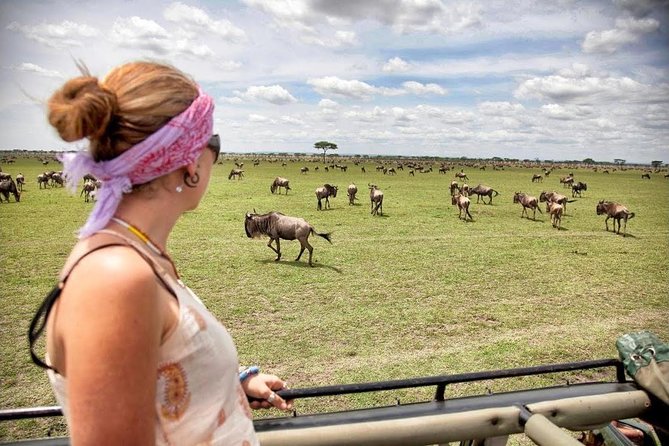 4 Day Masai Mara & Lake Nakuru Group Joining Camping Safari - Daily Departures - Camping, comfort, and the pace of the days