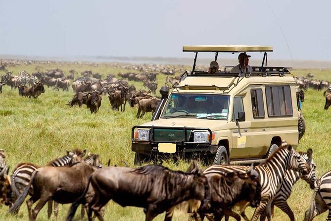4 Day Masai Mara & Lake Nakuru Group Joining Camping Safari - Daily Departures - Day 1: Nairobi to Maasai Mara through the Great Rift Valley
