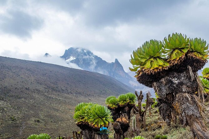 4 Day Mount Kenya Trek Up Chogoria Down Sirimon - Day three: Temple cliffs and Austrian Hut at 4,790 meters