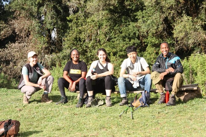 4-Day Mount Kenya Trekking with Pick Up - Rainforest descent and the return to Nairobi