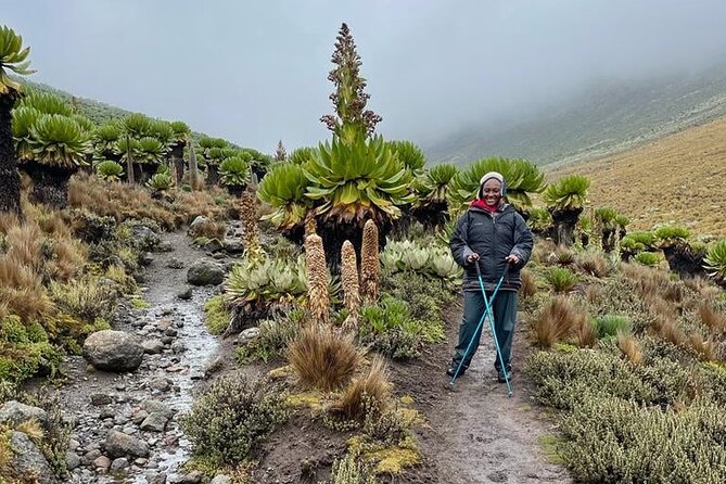 4-Day Mount Kenya Trekking with Pick Up - What the $941.18 price really buys