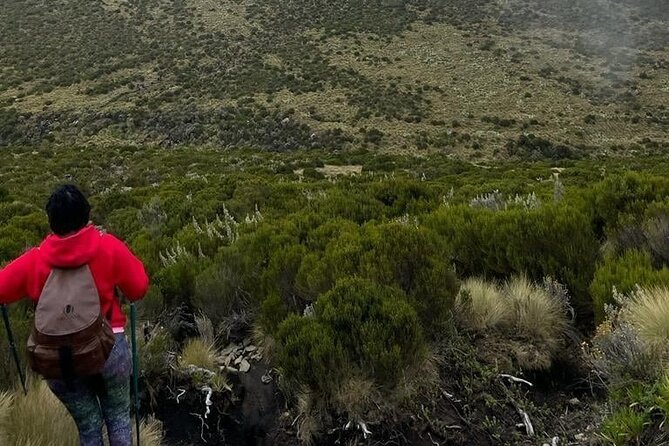 4-Day Mount Kenya Trekking with Pick Up - How hard is this trek for a beginner?