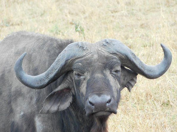 4 Day Private Masai Mara National Reserve & Lake Nakuru National Park Safari - Day 1: Nairobi to Lake Nakuru by way of the Rift Valley