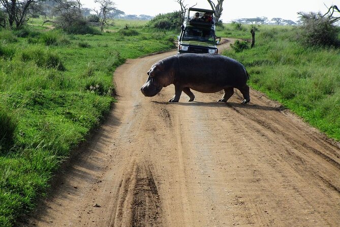 4-Day Tour in Lake Nakuru, Lake Naivash, Masai Mara from Nairobi - Key points to know before booking