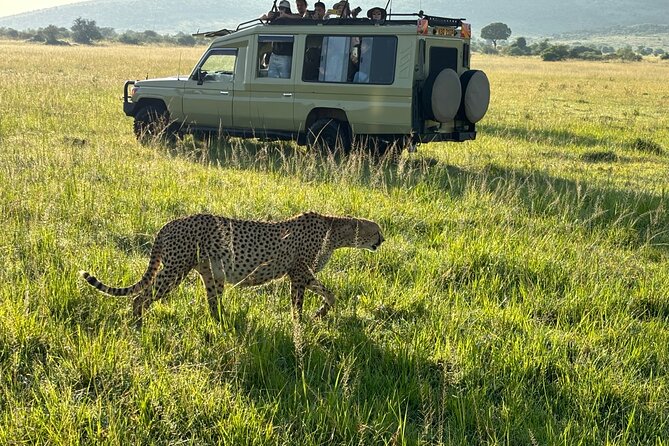 4 Days 4WD Private Maasai Mara, Nakuru Parks with Lodge LUXURY - Why this safari works as a four-day Kenya sampler