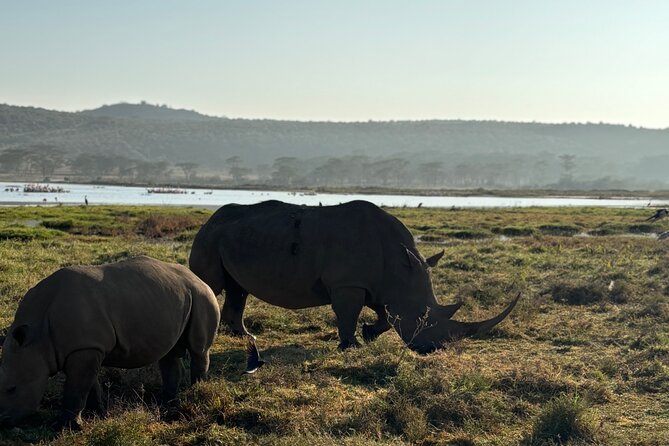 4 Days 4WD Private Maasai Mara, Nakuru Parks with Lodge LUXURY - Lodge comfort and meals included