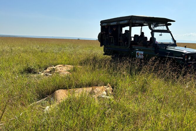 4 Days 4WD Private Maasai Mara, Nakuru Parks with Lodge LUXURY - What the $1,499 price really covers