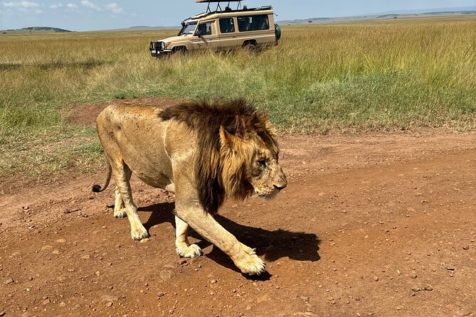 4 Days 4WD Private Maasai Mara, Nakuru Parks with Lodge LUXURY - Who should book this private safari?
