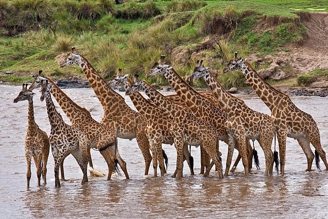 4-Days Best Wildlife Safari: Amboseli, Tsavo West & Tsavo East Private Safari - Day 2: from Amboseli to the hills of Tsavo West