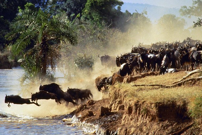 4 days group joining budget safari to Maasai Mara only - The final morning and the road back to Nairobi