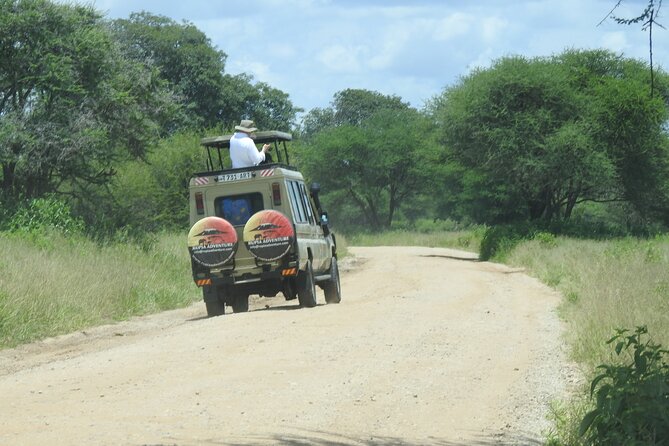 4 Days Kenya Safari - Why this route works for a short Kenya visit