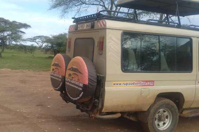 4 Days Kenya Safari - What the $800 price really includes