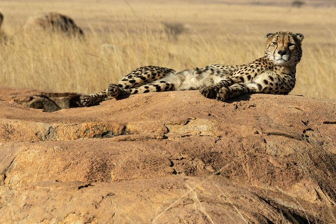 4 Days Lake Nakuru and Masai Mara Luxury Safari - Key points at a glance