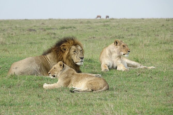 4 Days Landcruiser Safari to Masai Mara and Lake Nakuru - Day 1: Nairobi to the Masai Mara
