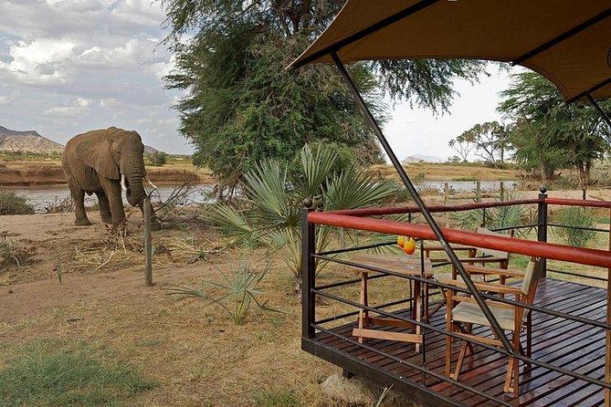 4 days Maasai Mara-Nakuru Mid-Range - What the private format really gives you